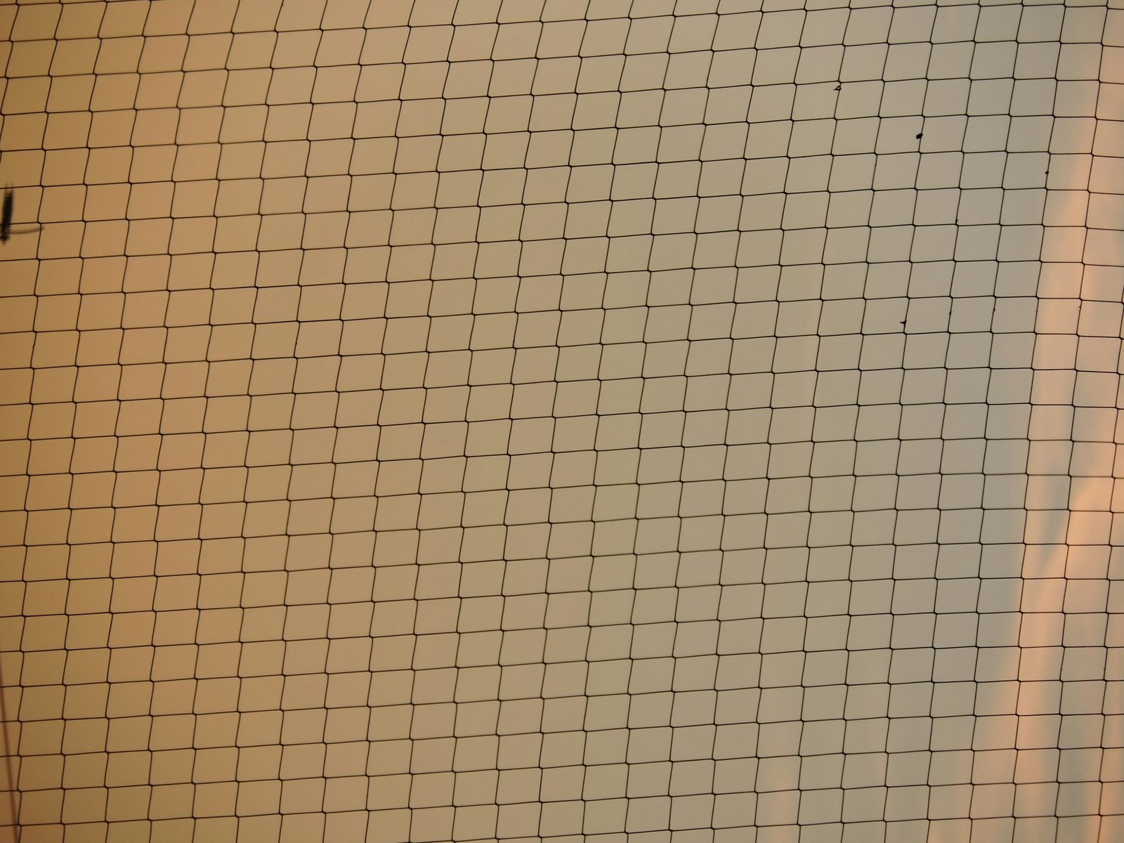 Before-and-after comparison charts showing Sarah's improved sleep quality and weight loss stats