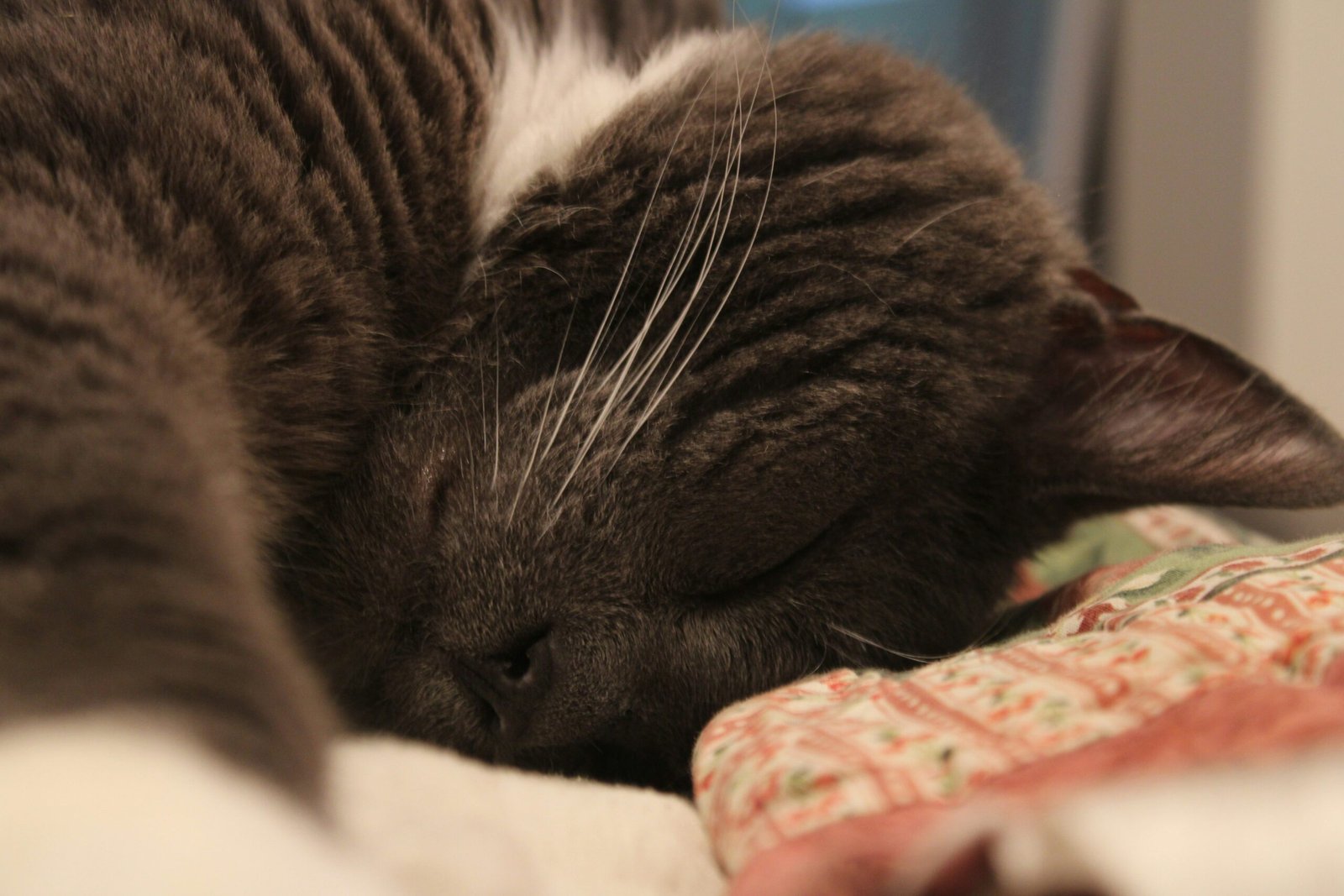 Woman using headphones to listen to hypnosis audio tracks
